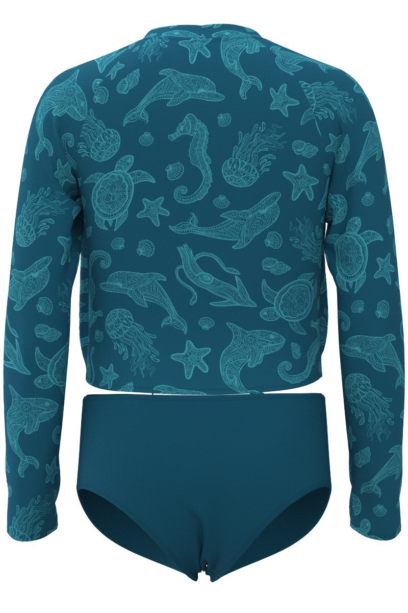 Color_Bluejay Ocean Animals