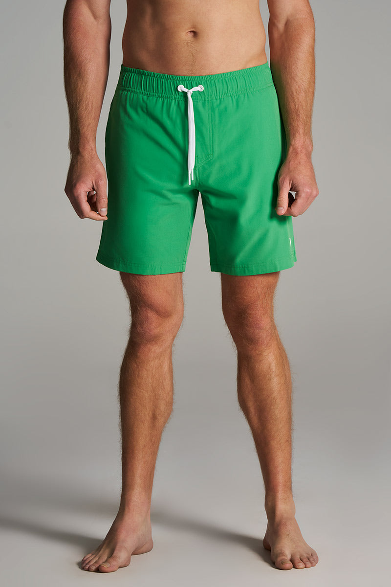 Color_Palm Green
