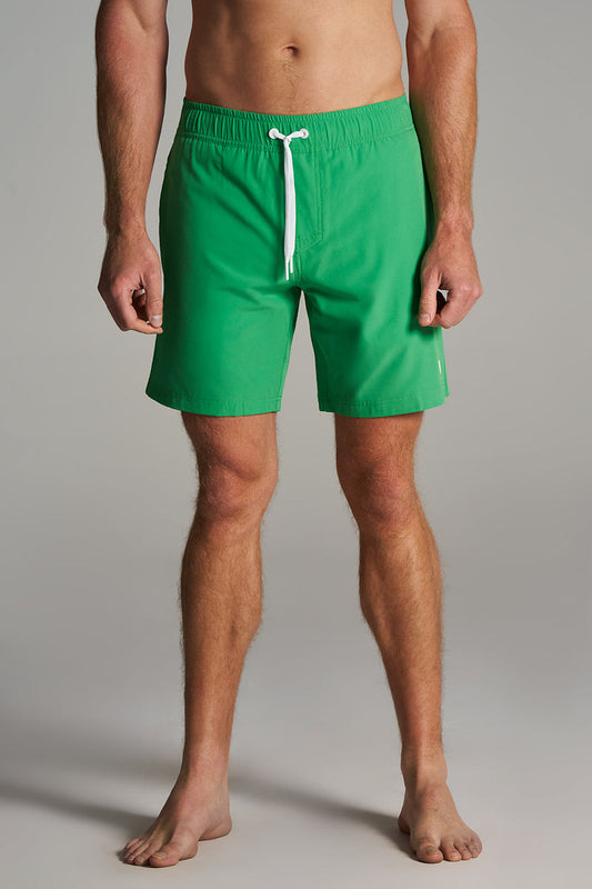 Color_Palm Green