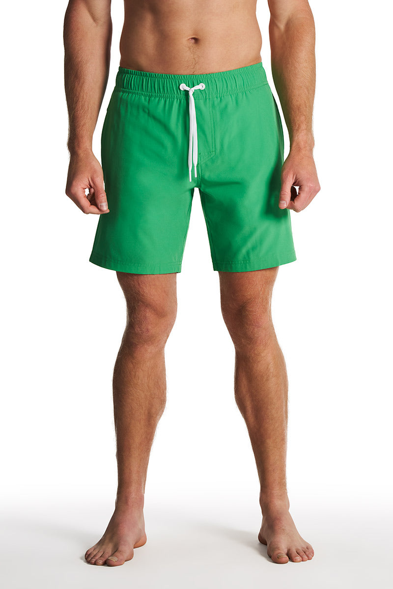 Color_Palm Green