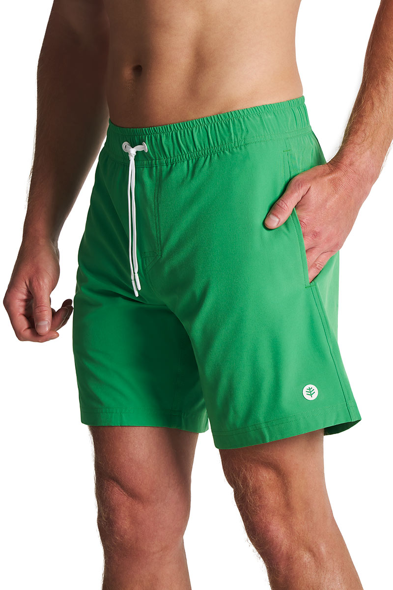 Color_Palm Green