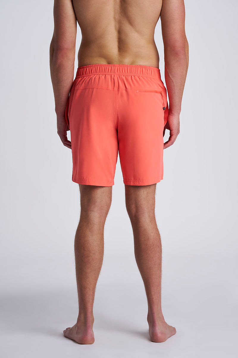 Color_Coral Reef
