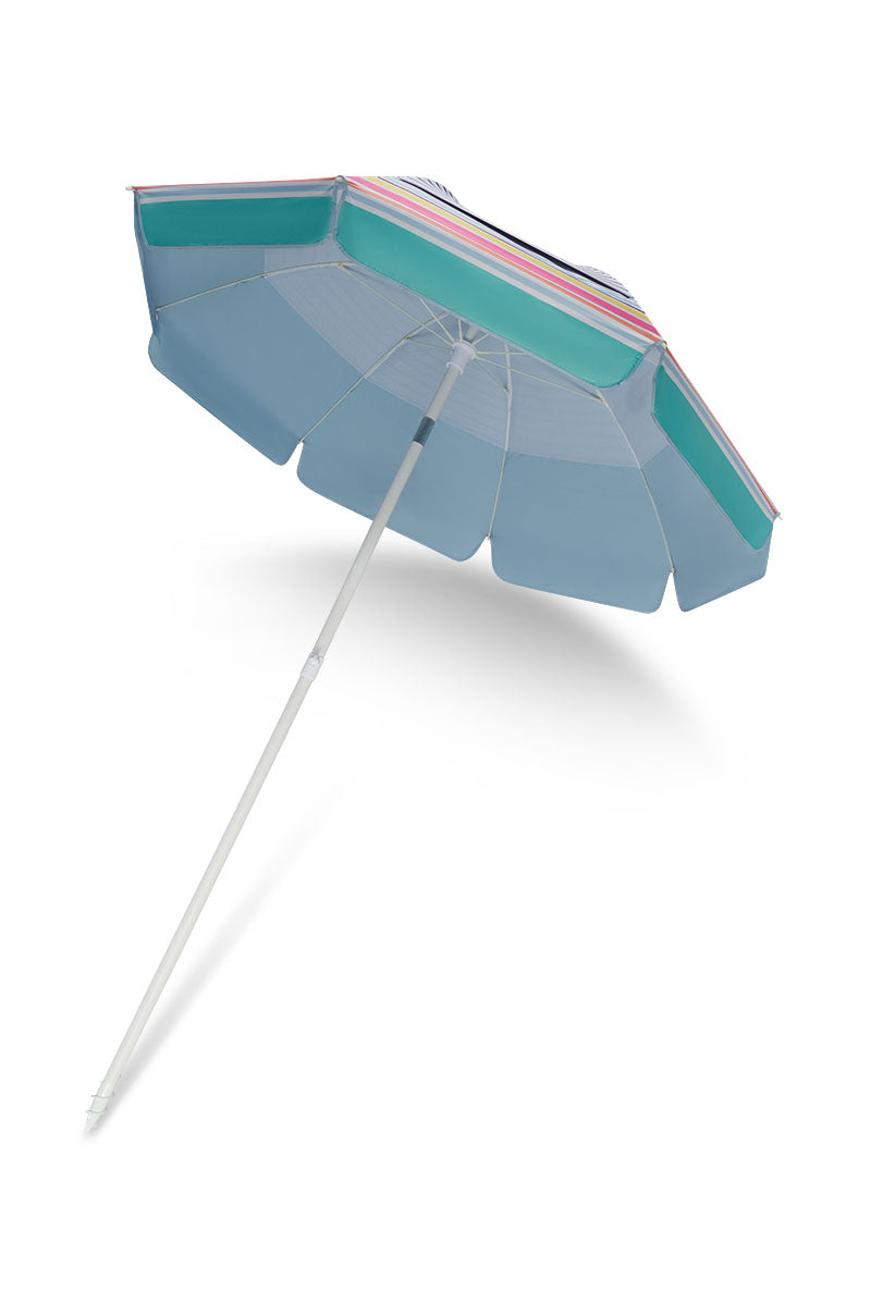Color_ Multicolor