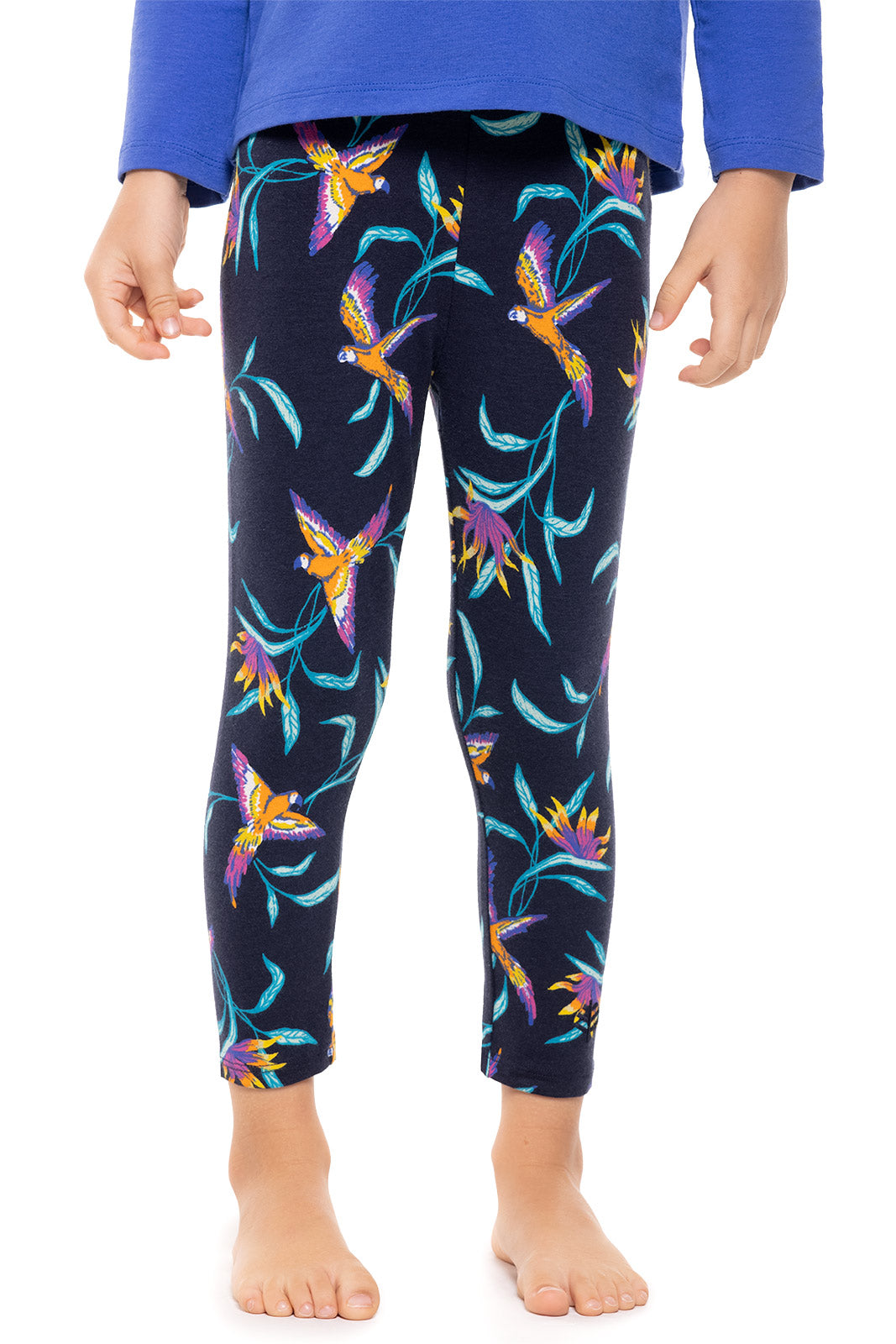 Color_Navy Birds of Paradise