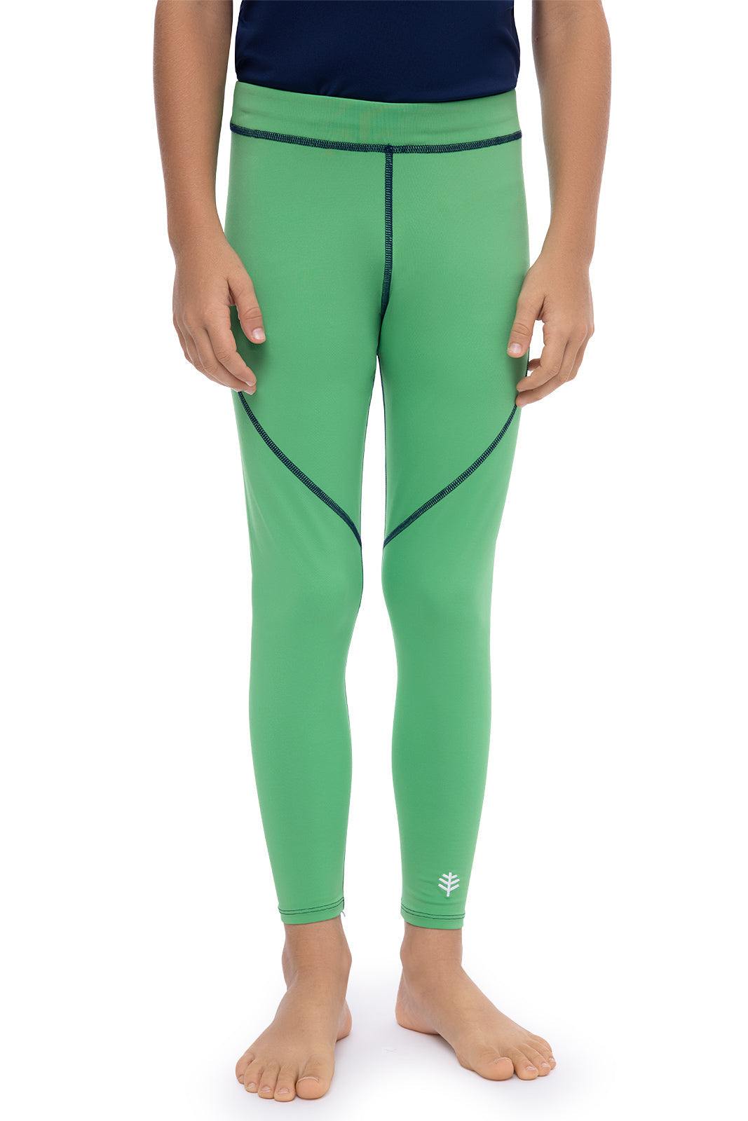 Color_Palm Green