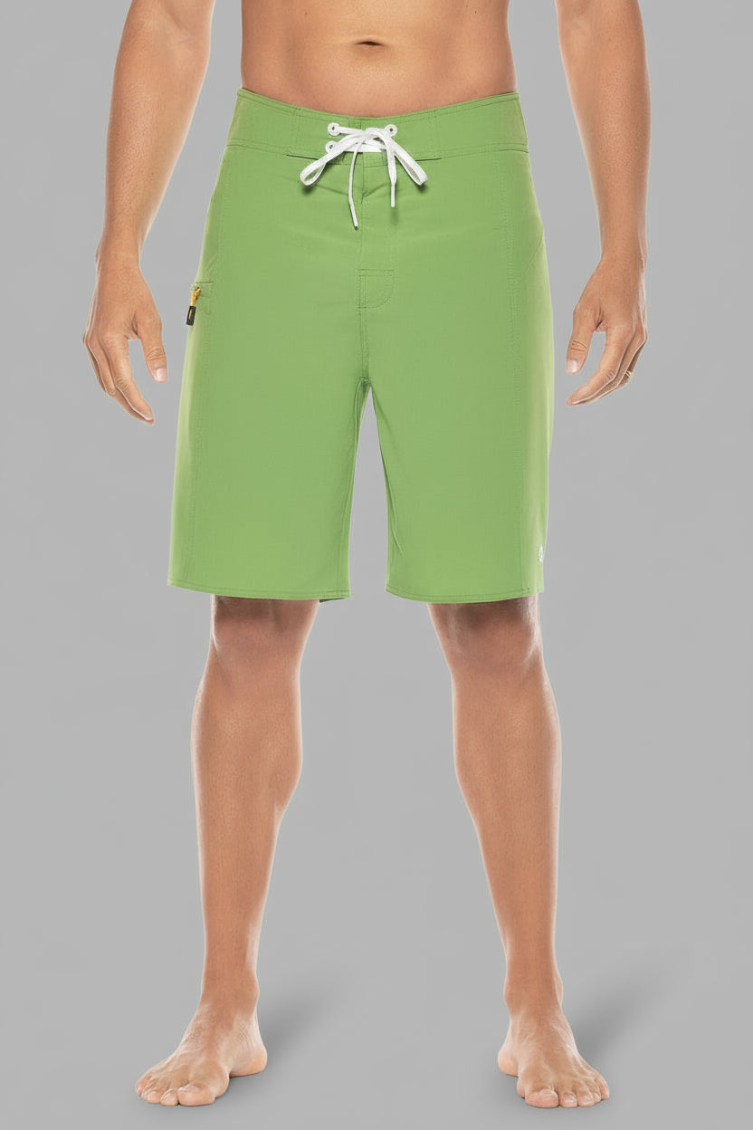 Color_Soft Fern