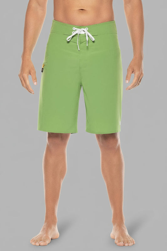 Color_Soft Fern