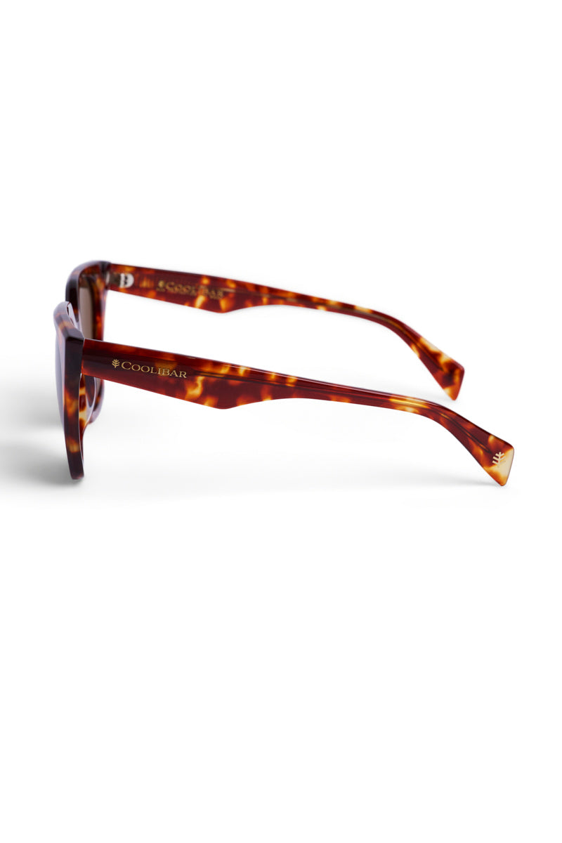 Color_Amber Tortoise