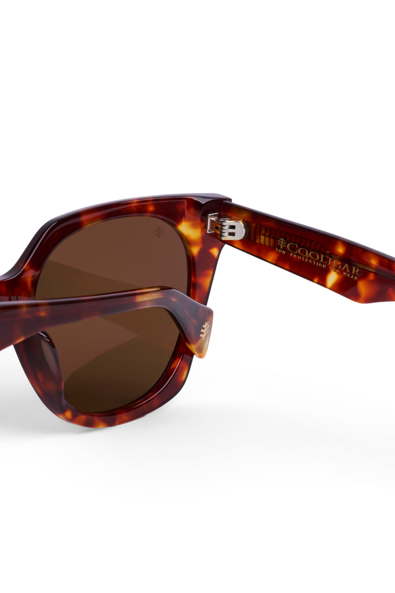 Color_Amber Tortoise