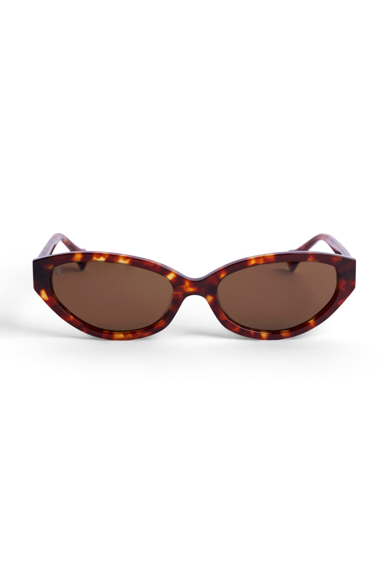 Color_Amber Tortoise
