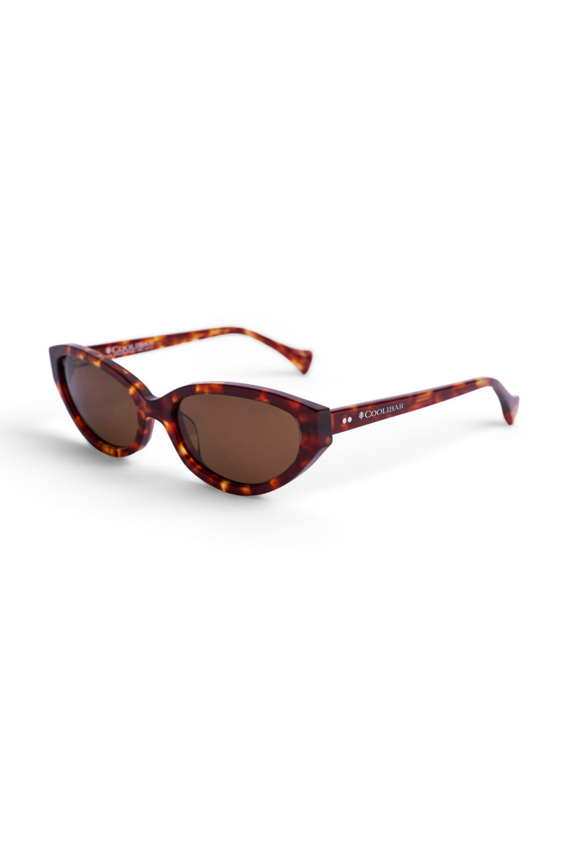 Color_Amber Tortoise