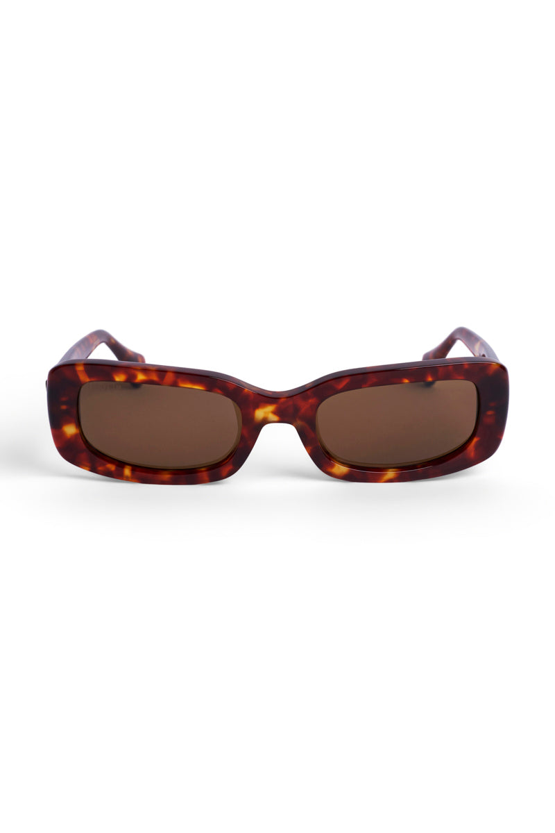 Color_Amber Tortoise
