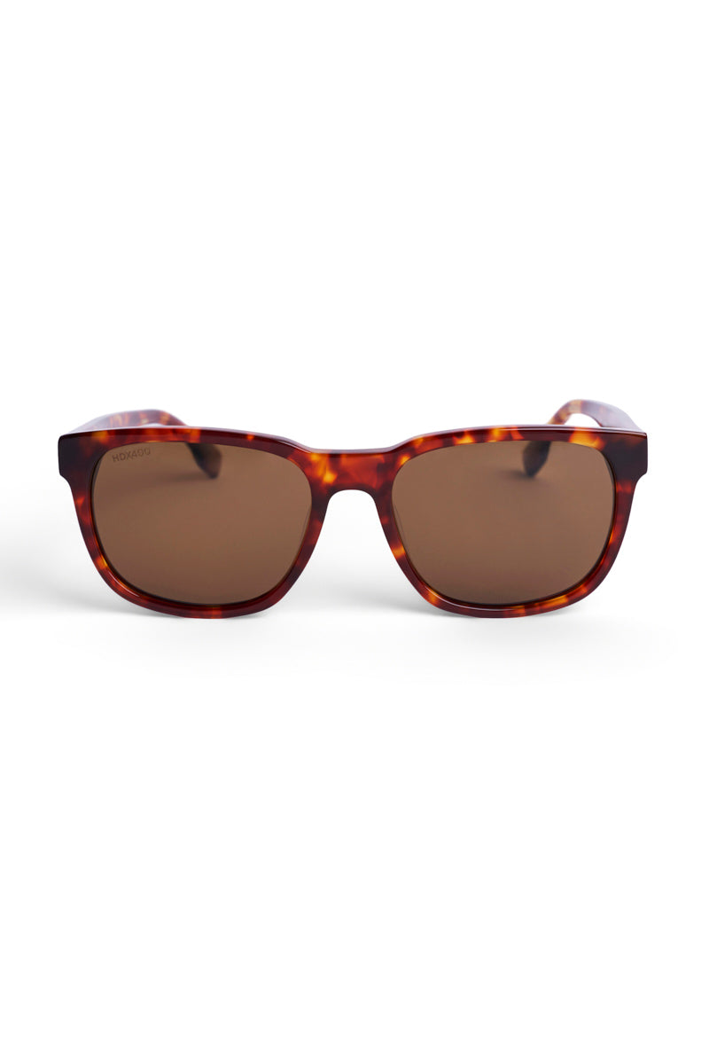 Color_Amber Tortoise