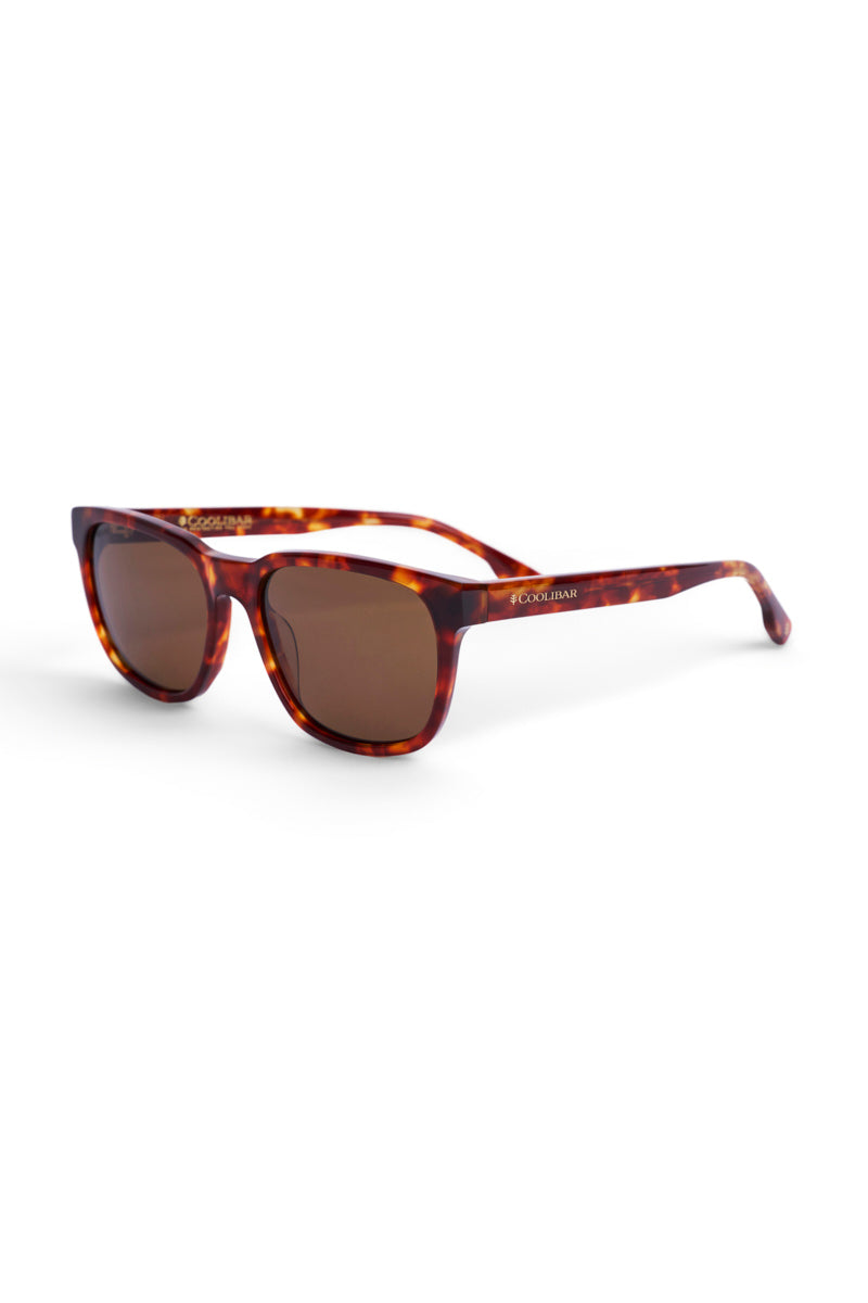 Color_Amber Tortoise