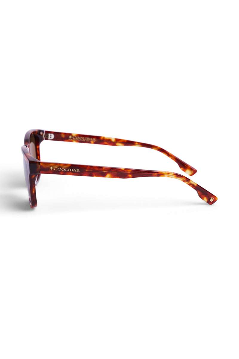 Color_Amber Tortoise