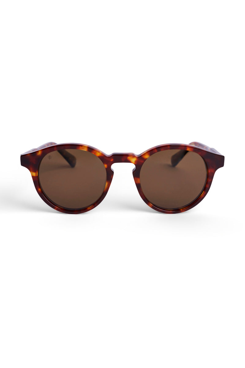 Color_Amber Tortoise