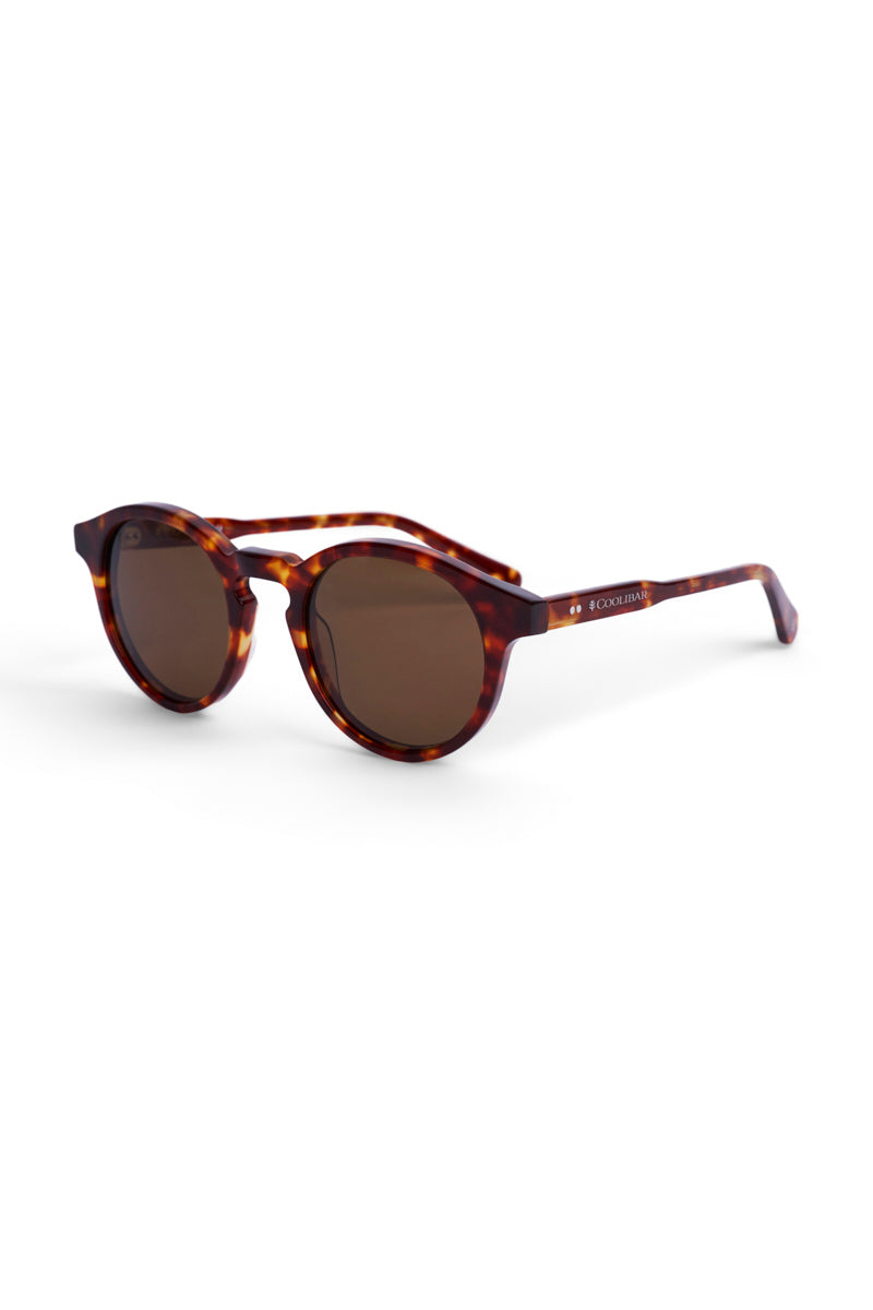 Color_Amber Tortoise