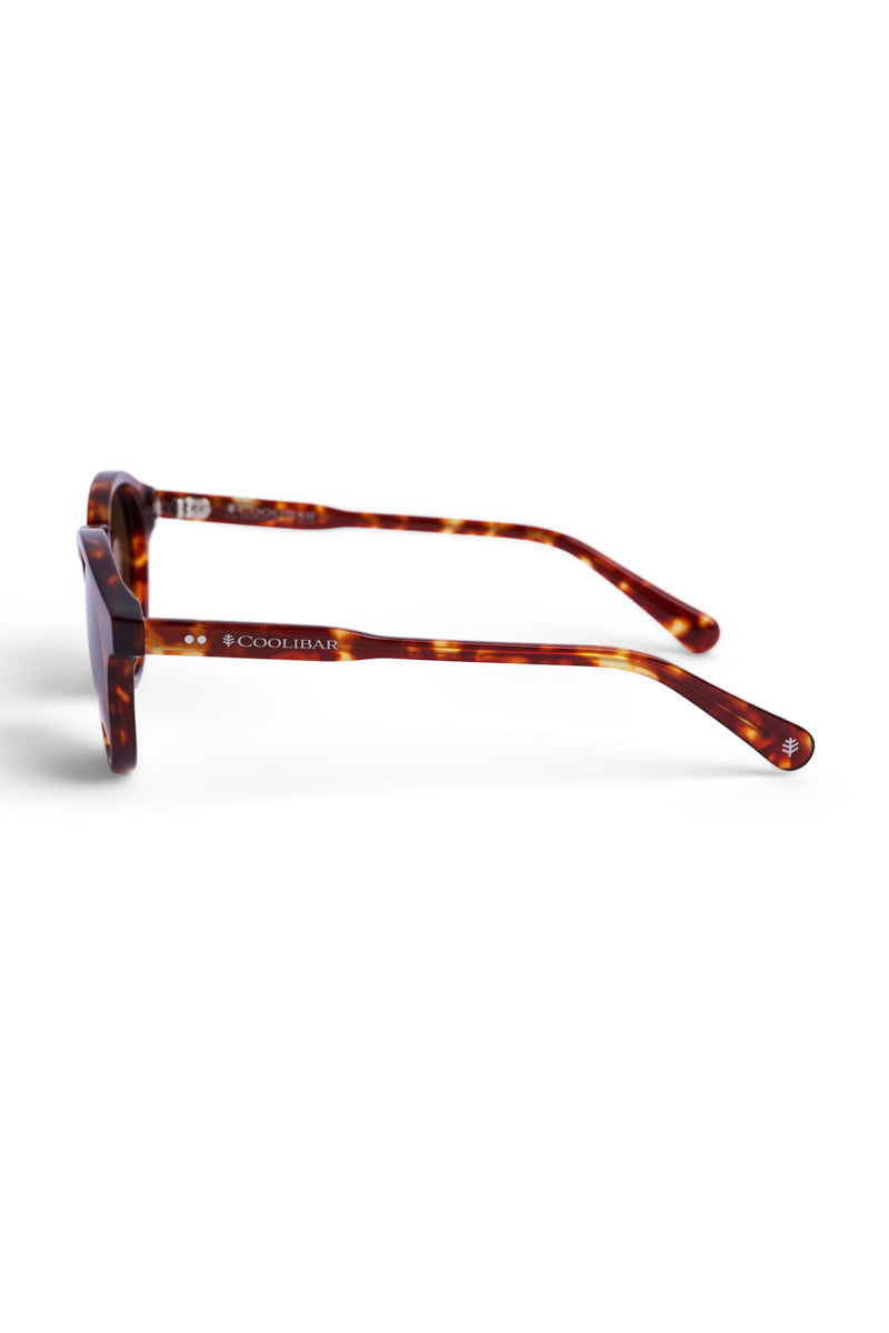 Color_Amber Tortoise