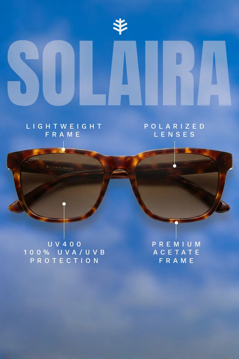 Color_Amber Tortoise