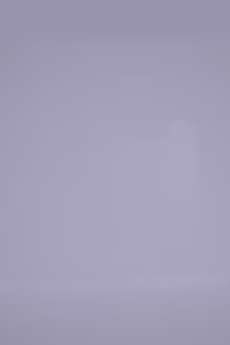 Color_Navy