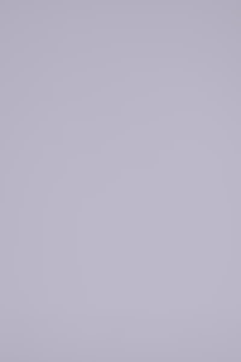 Color_White