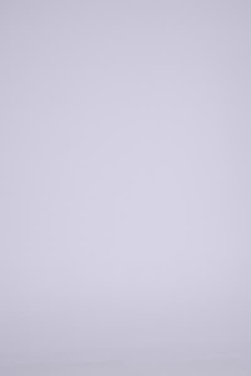 Color_White
